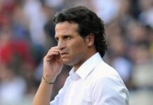 Syli National : Paulo Duarte en tournée européenne pour suivre des binationaux guinéens !