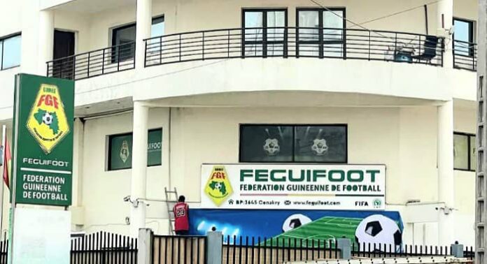 fgf (4)